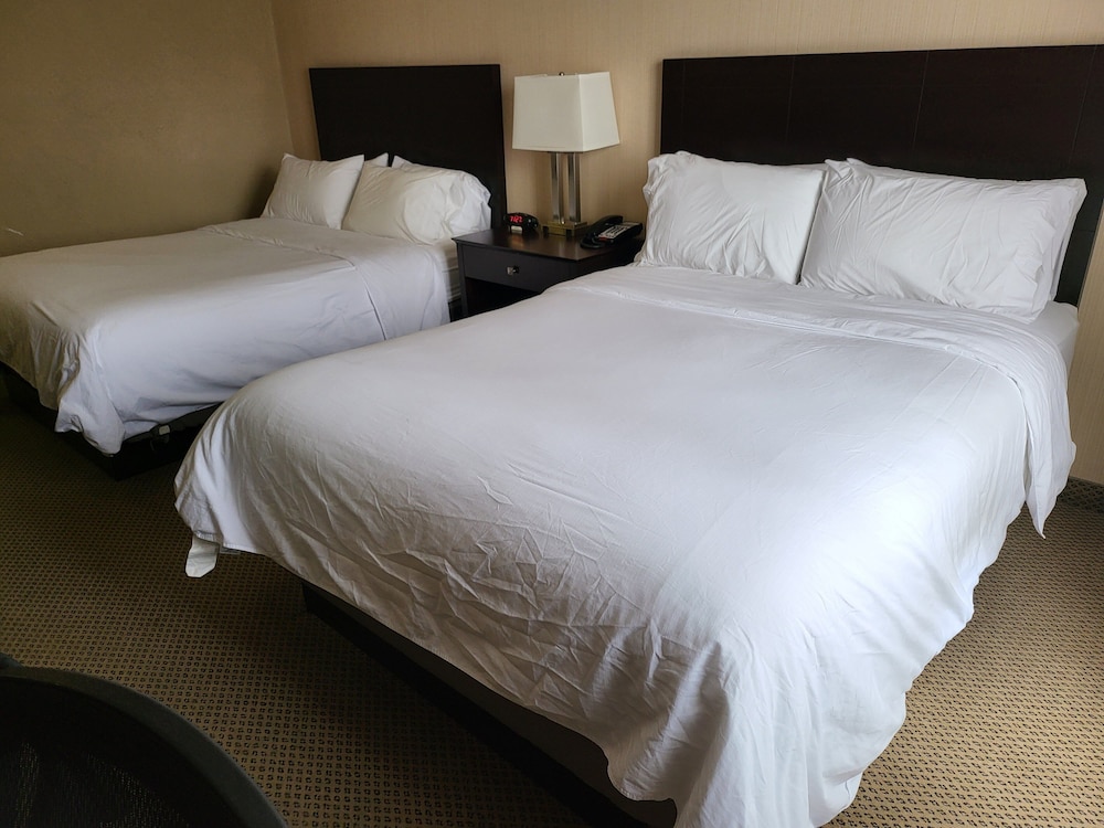 Suite, 2 Queen Beds photo 2