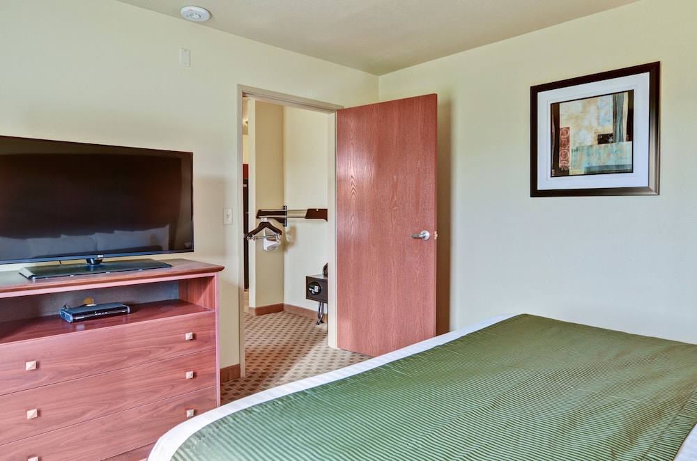 Studio Suite, Multiple Beds, Accessible (Mobility/Audible, Roll-in Shower) photo 2