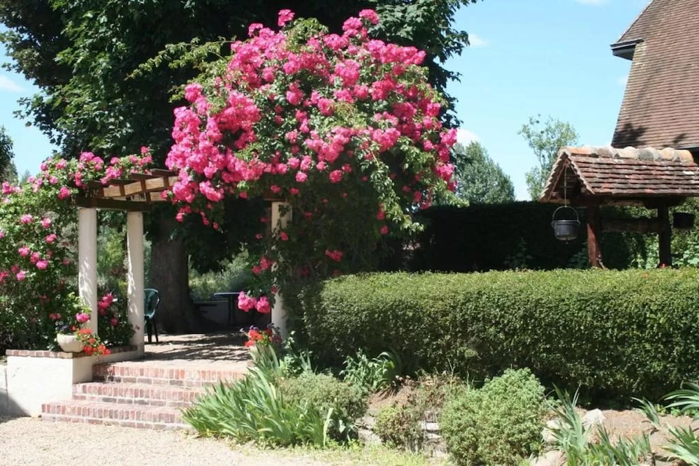 Double Room, Courtyard View, Garden Area photo 3