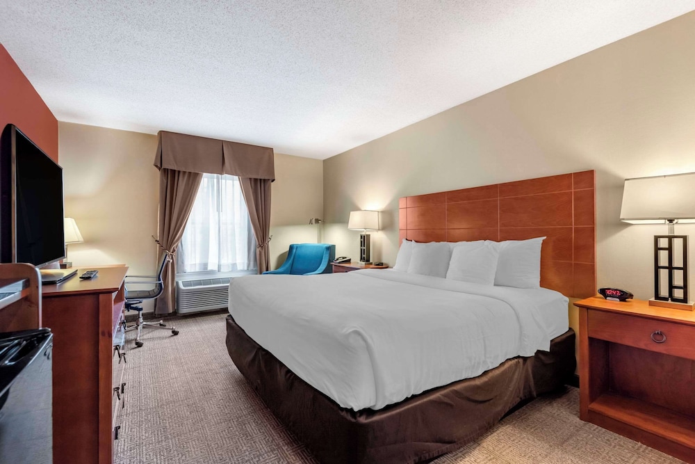 Suite, 1 King Bed with Sofa bed, Non Smoking