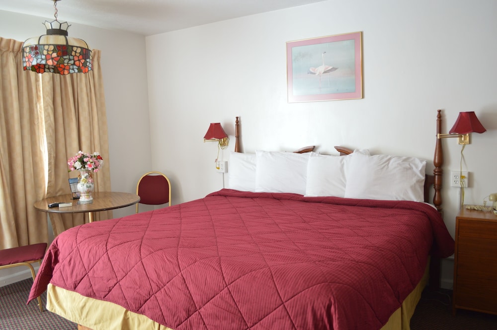 Room, 1 King Bed photo 2