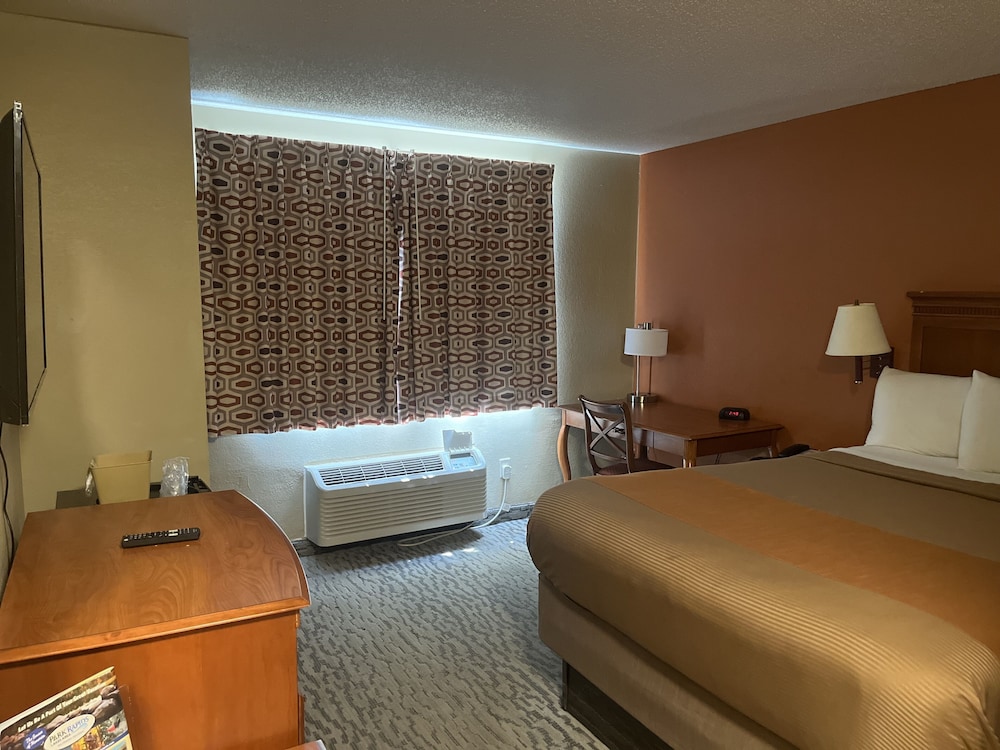 Room, 1 King Bed, Non Smoking photo 2