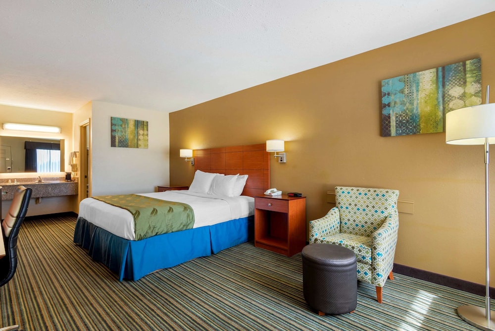 Standard Room, 1 King Bed, Non Smoking photo 3