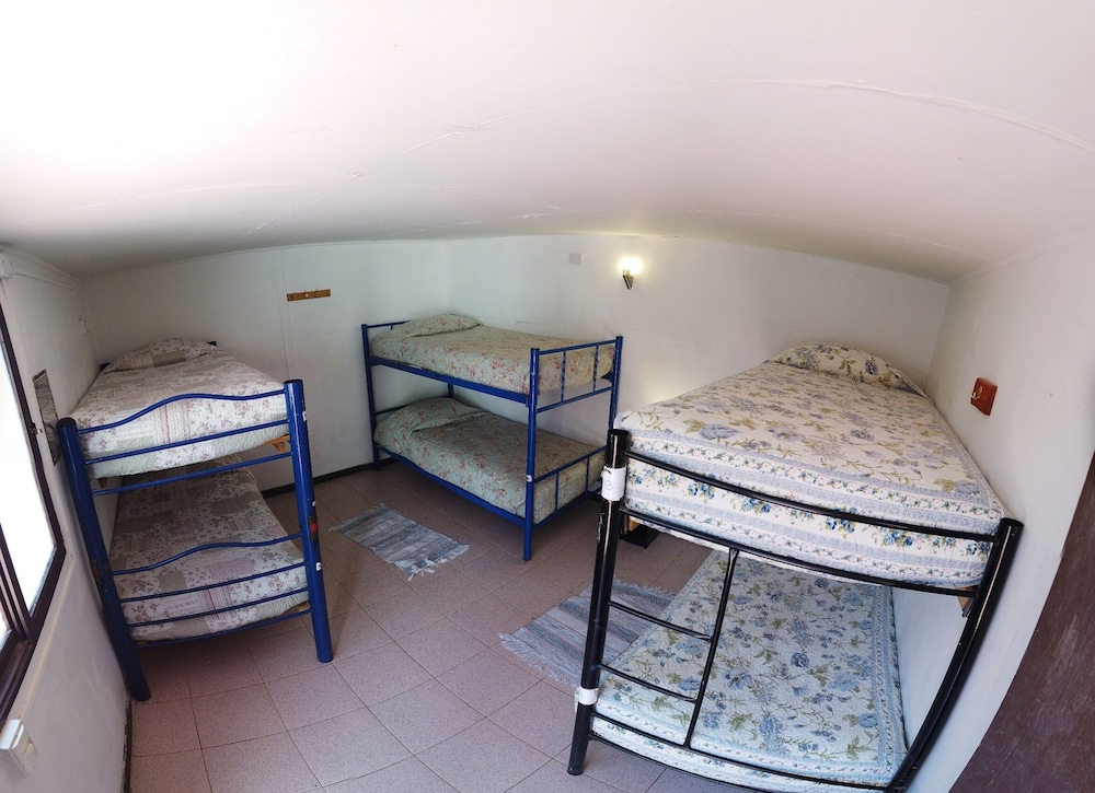 Shared Dormitory (6 pax) photo 1