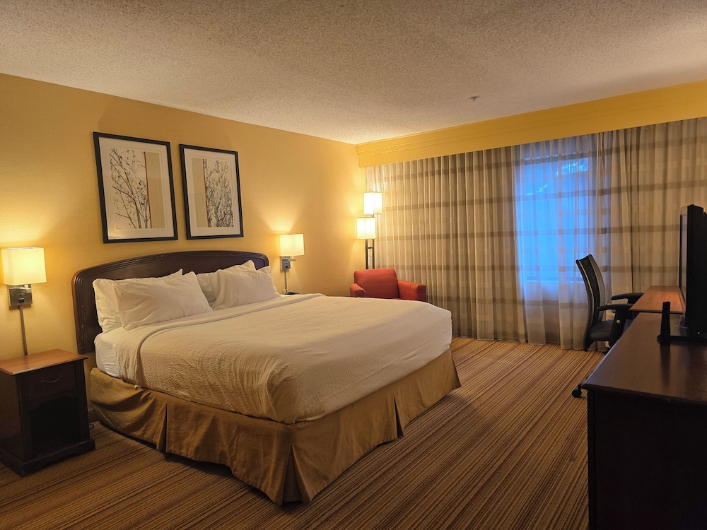 Suite, 1 King Bed, Accessible, Non Smoking - Photo 3