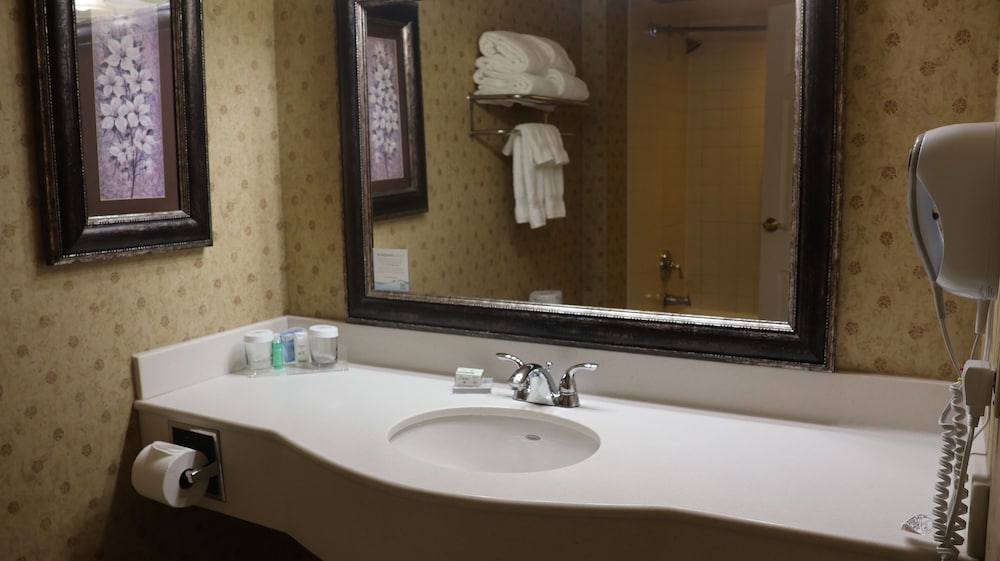 Suite, 1 King Bed with Sofa bed, Non Smoking, Refrigerator & Microwave - Photo 5