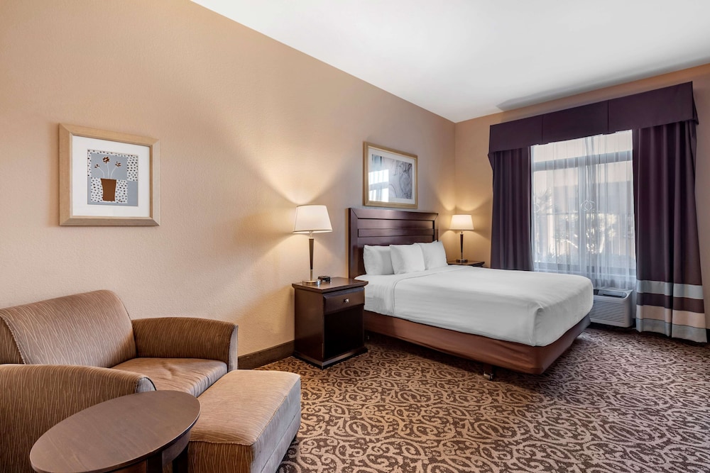Standard Room, 1 King Bed, Non Smoking, Refrigerator & Microwave (Larger Room) - Photo 3