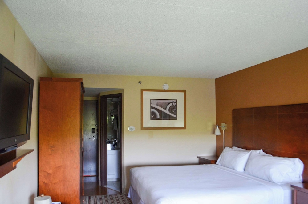 Suite, 1 King Bed, Non Smoking - Photo 4