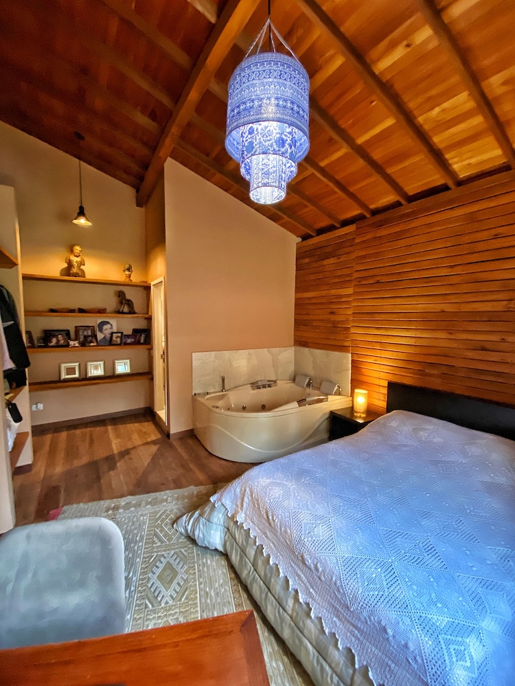Executive Studio Suite photo 1