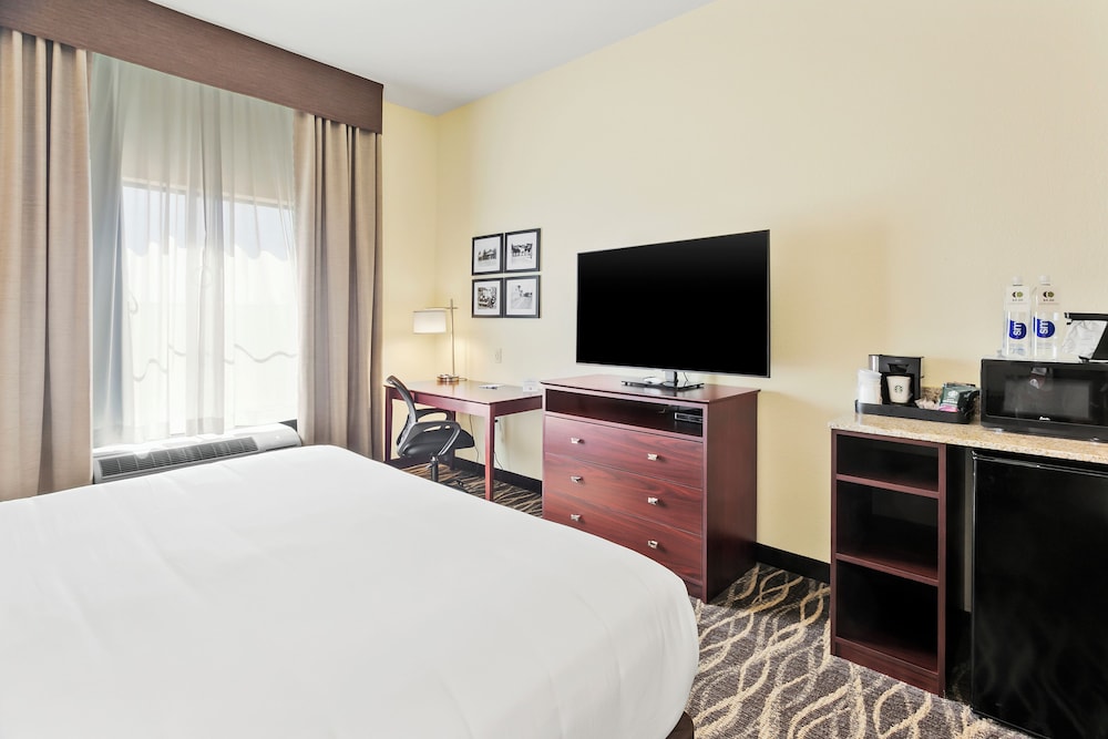 Room, 1 King Bed, Non Smoking (with Audible/Visual Alert) - Photo 6