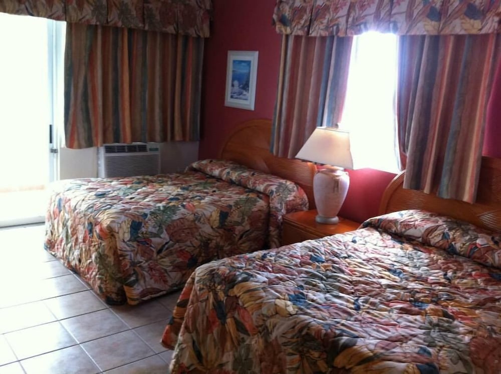 Studio, 2 Double Beds photo 2