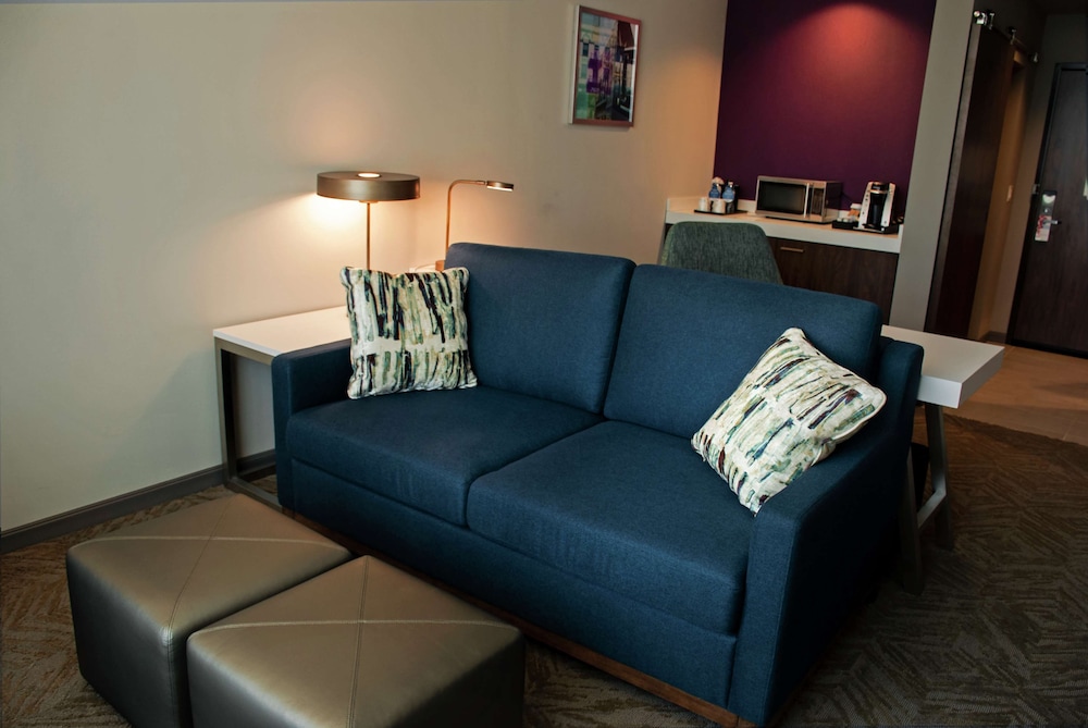 Hilton Garden Inn Dallas At Hurst Conference Center, Foto 4