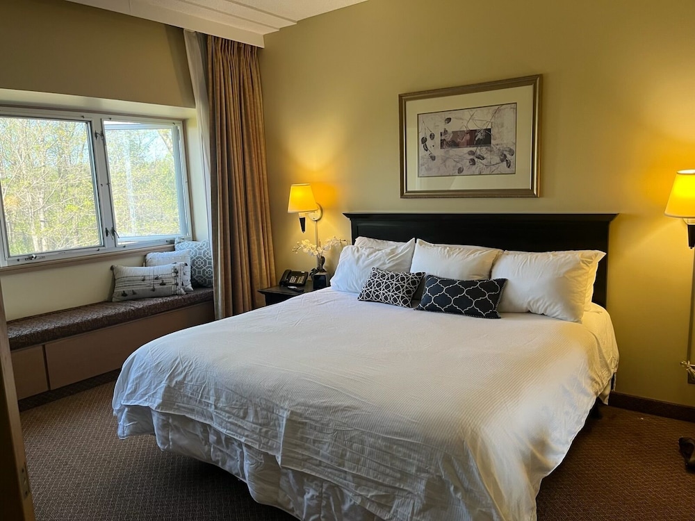 Single Room, City View photo 2