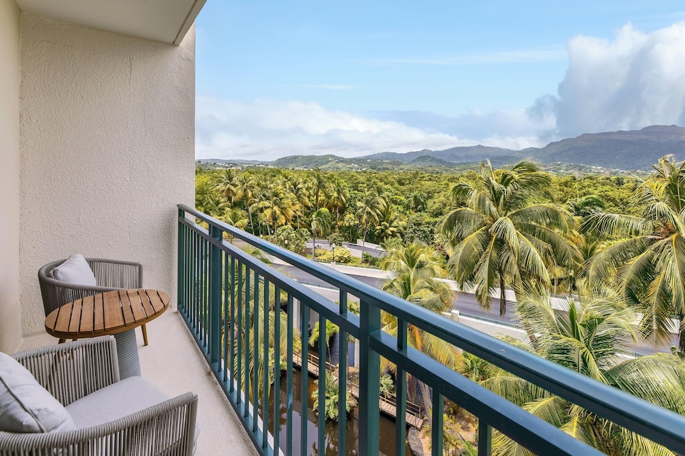 Suite, 1 King Bed With Sofa Bed (marbella Suite)