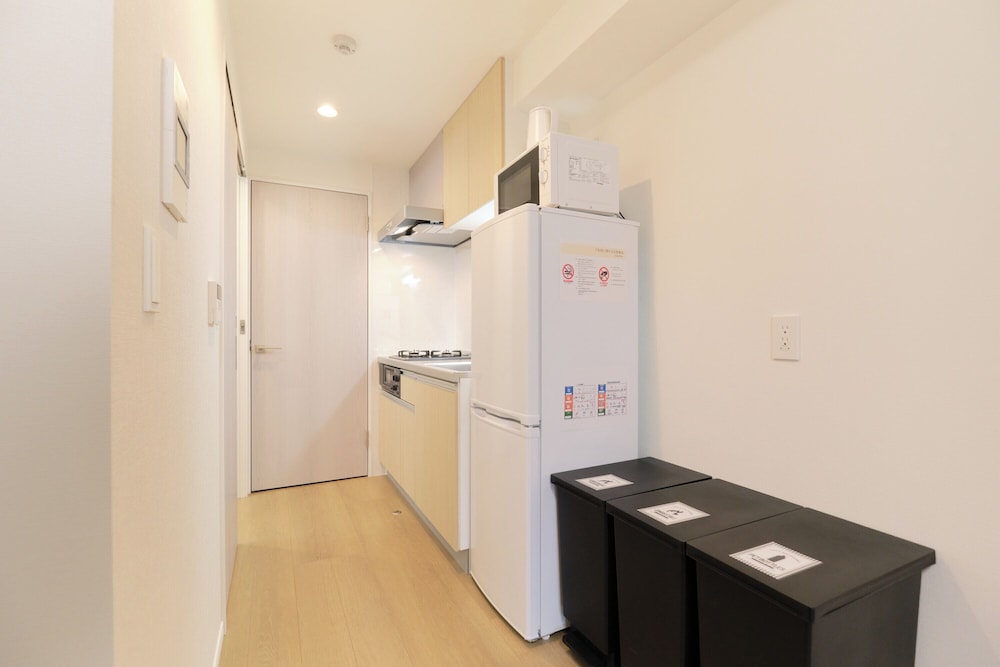 Apartment, Non Smoking (B-2) photo 3