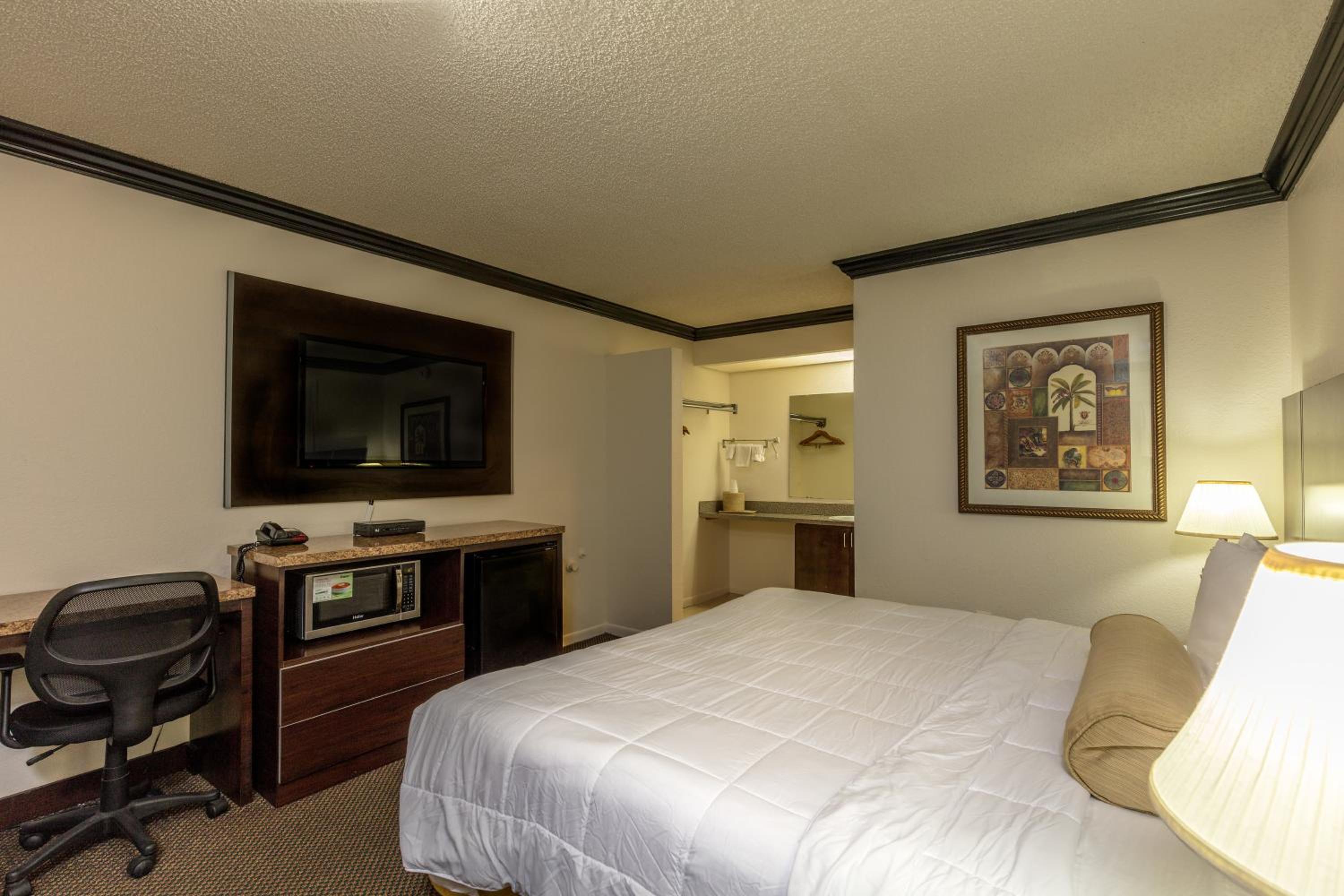 King Room - Disability Access photo 1