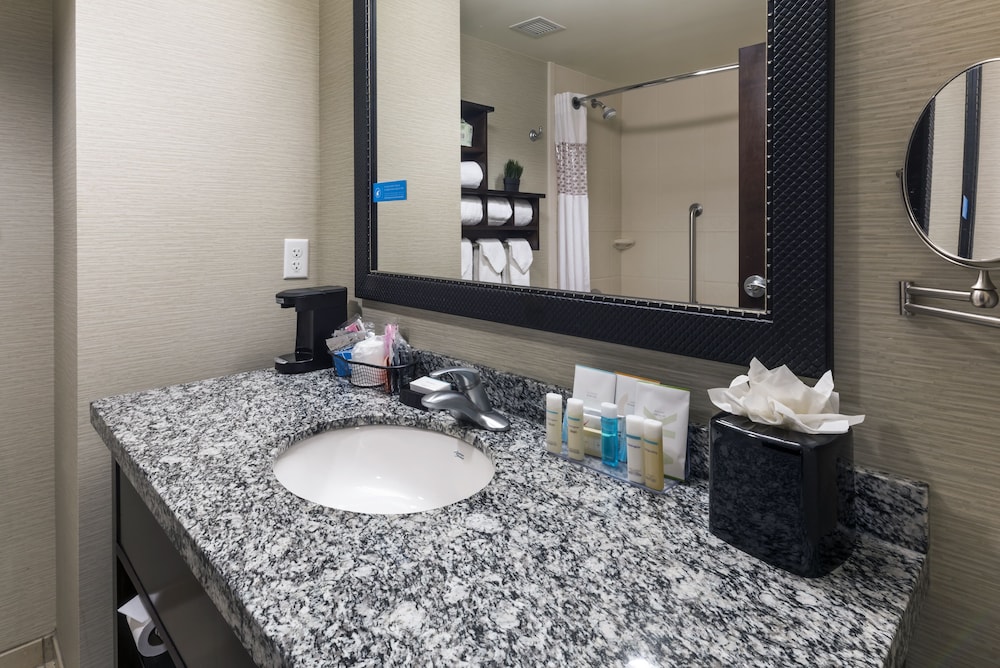 Basic Room, 1 King Bed, Accessible (Roll-In Shower) - Photo 9