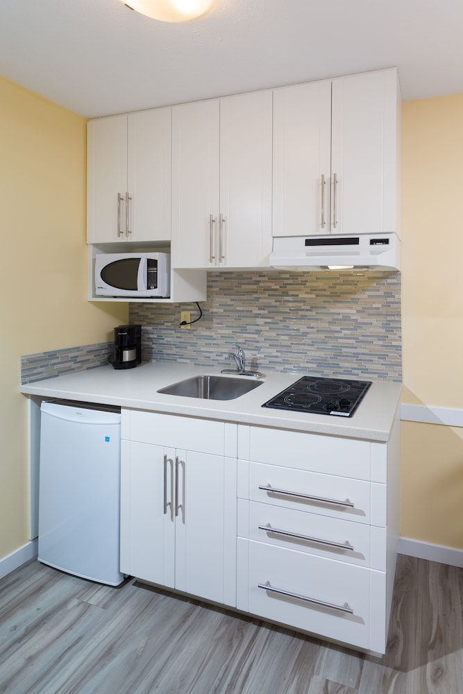 Studio, 2 Queen Beds, Kitchenette photo 3