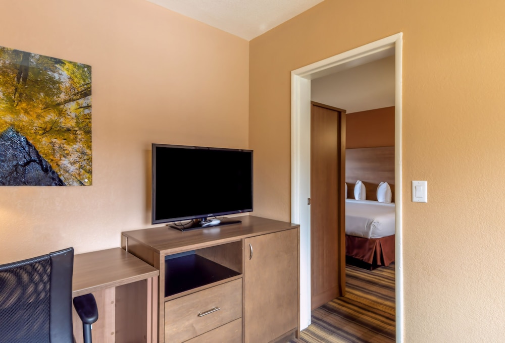 Junior Suite, 1 King Bed with Sofa bed