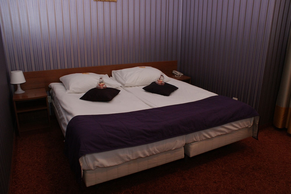 Basic Double or Twin Room (double use) photo 2