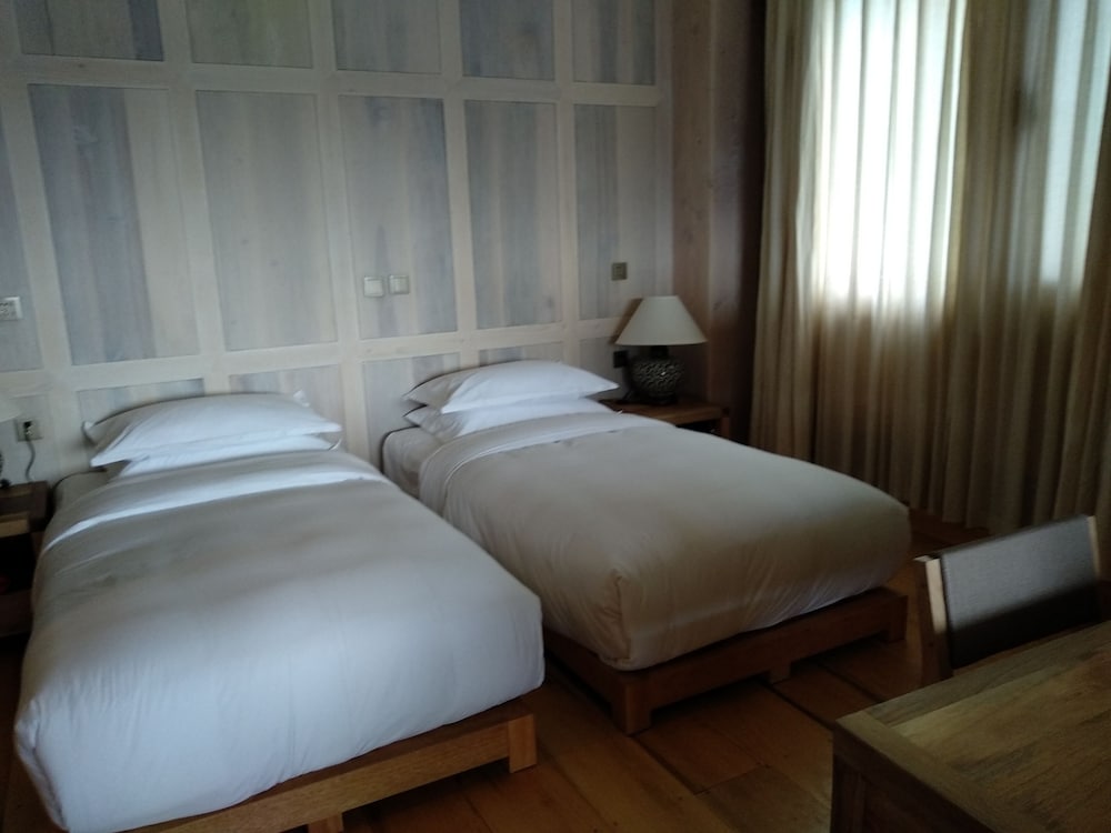 Deluxe Twin Room photo 1