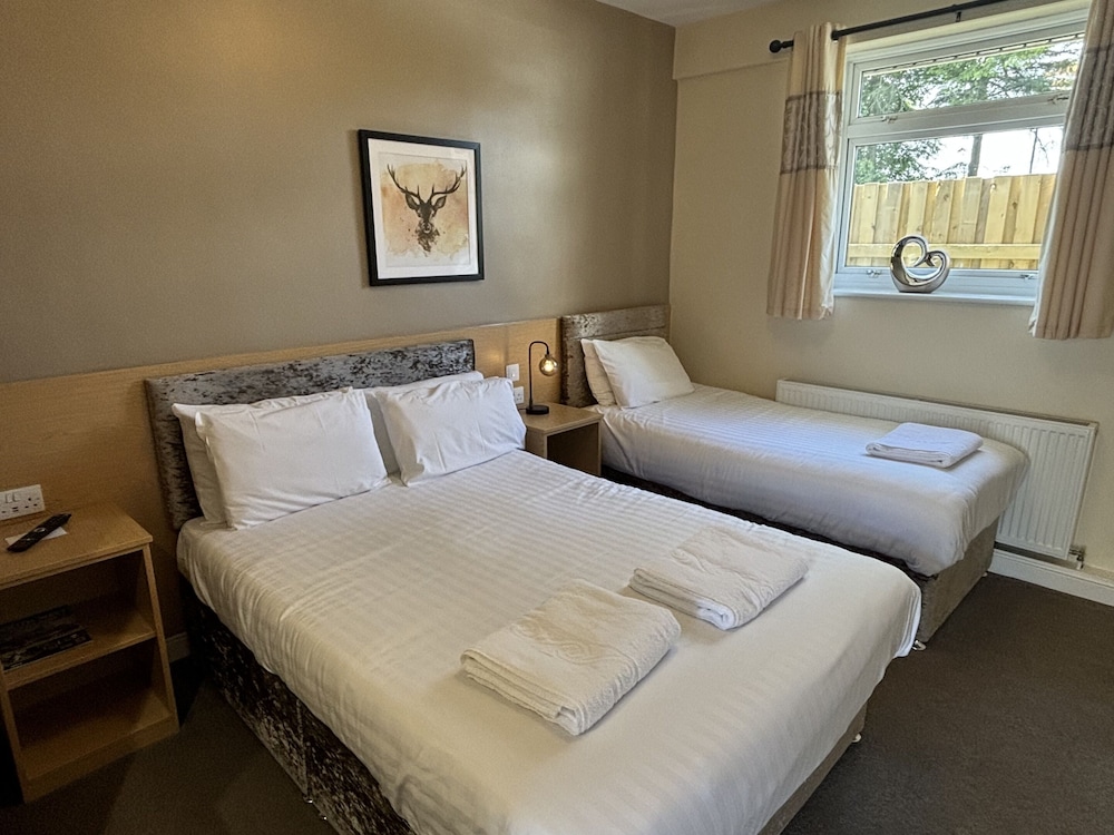 Suite, Ensuite (2 Adults & 1 Child) - Photo 1