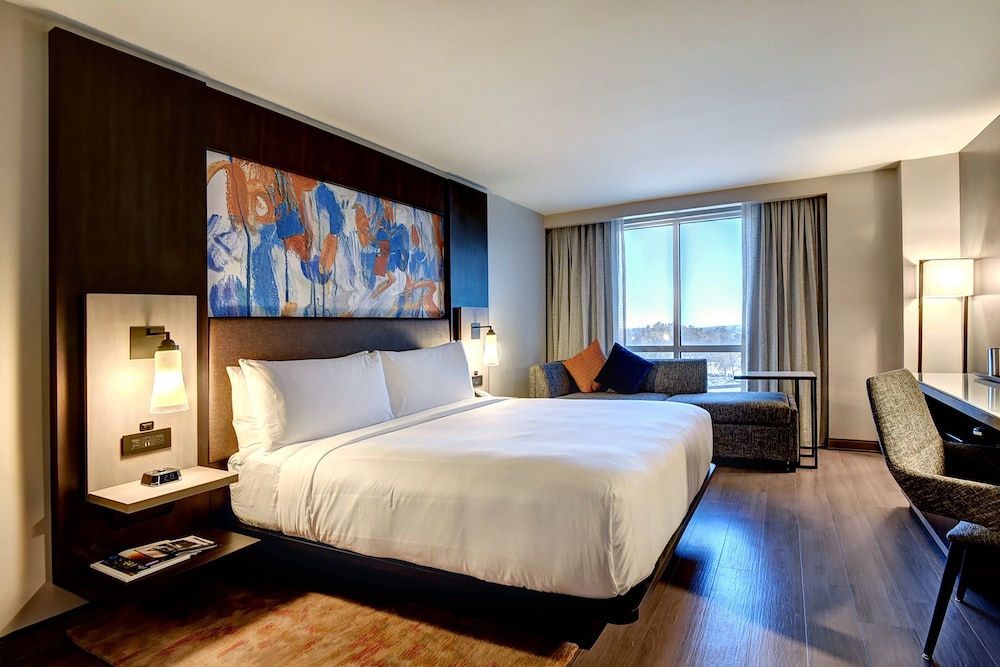 Club Room, 1 King Bed with Sofa bed