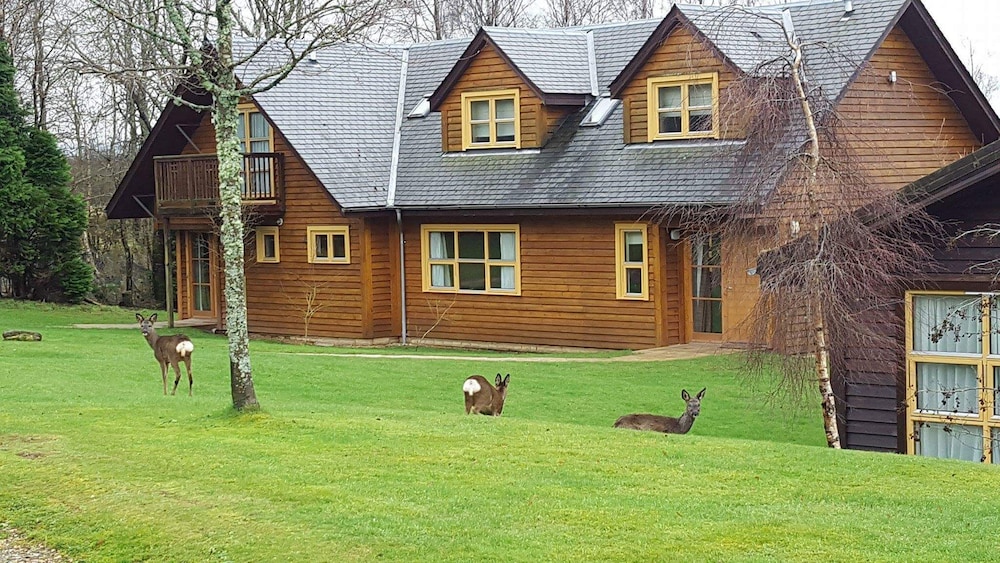 Stewart - Diamond Lodge - Pets Allowed