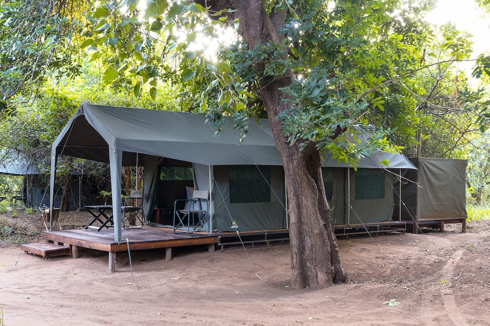 Basic Tent photo 2