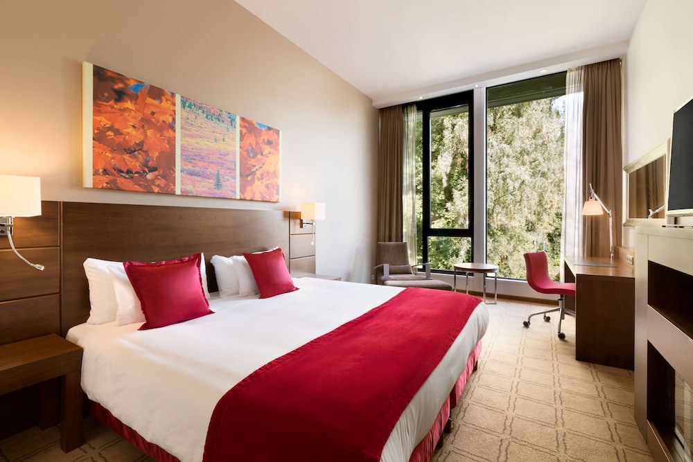 Deluxe Room - Photo 2