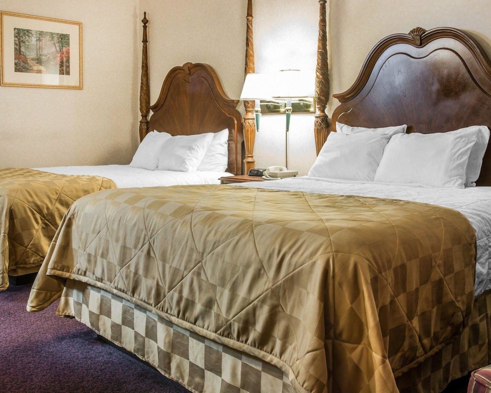Standard Suite, 2 Bedrooms photo 3