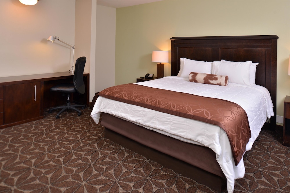 Deluxe Room, 1 King Bed, Non Smoking photo 1