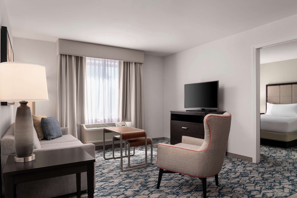 Suite, 1 Queen Bed photo 3