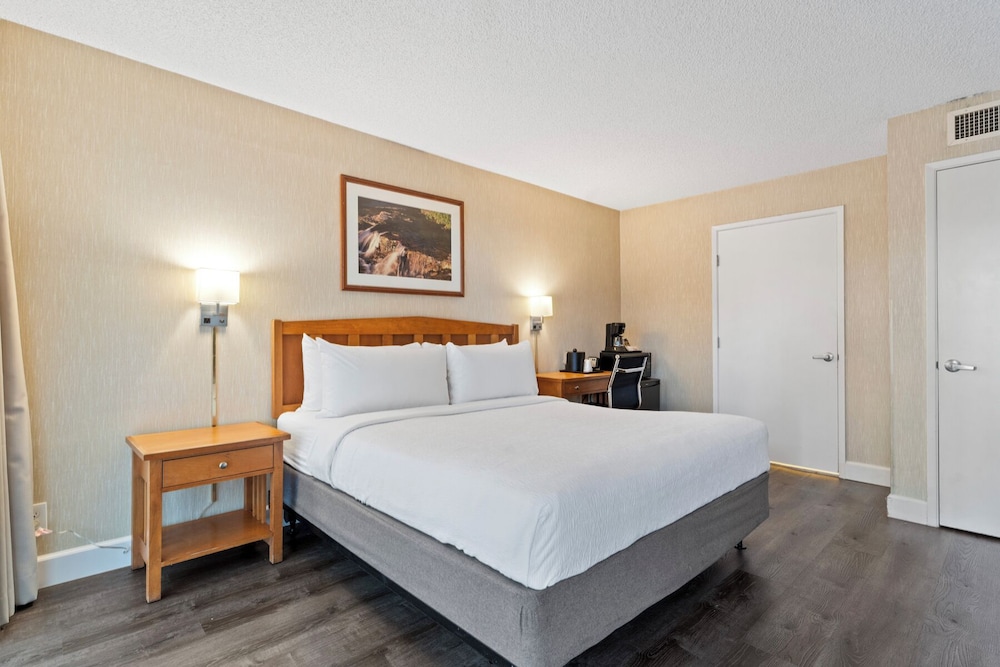 Single Room, 1 King Bed, Accessible photo 3