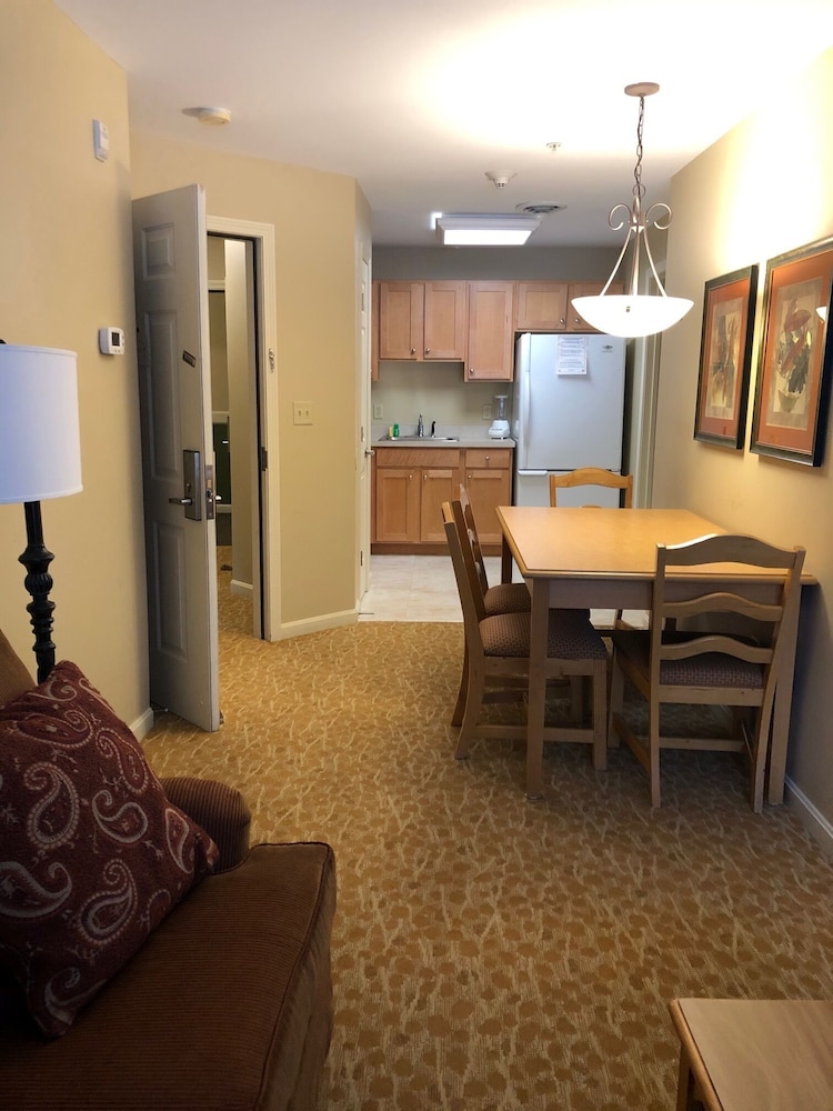 One Bedroom Suite photo 3