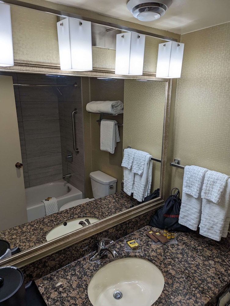 Suite, 1 Queen Bed, Non Smoking