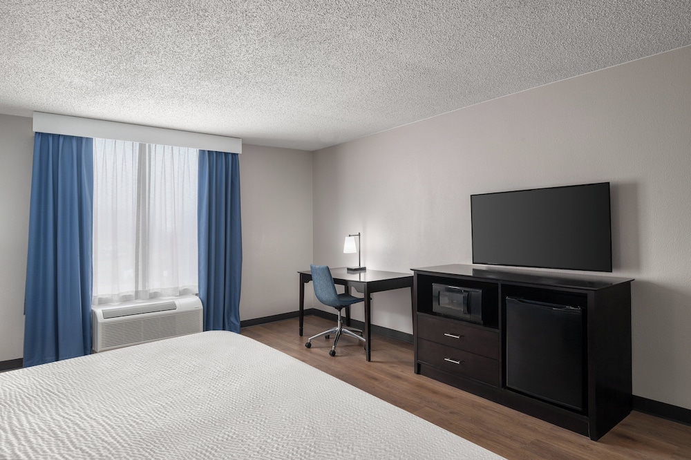 Suite, 1 King Bed - Photo 1