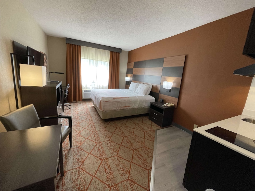 Standard Room, 1 King Bed, Non Smoking, Kitchenette - Photo 5