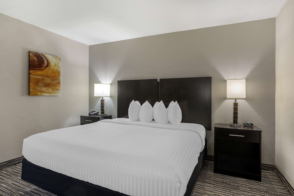 Standard Room, 1 King Bed, Non Smoking, Refrigerator & Microwave - Photo 1