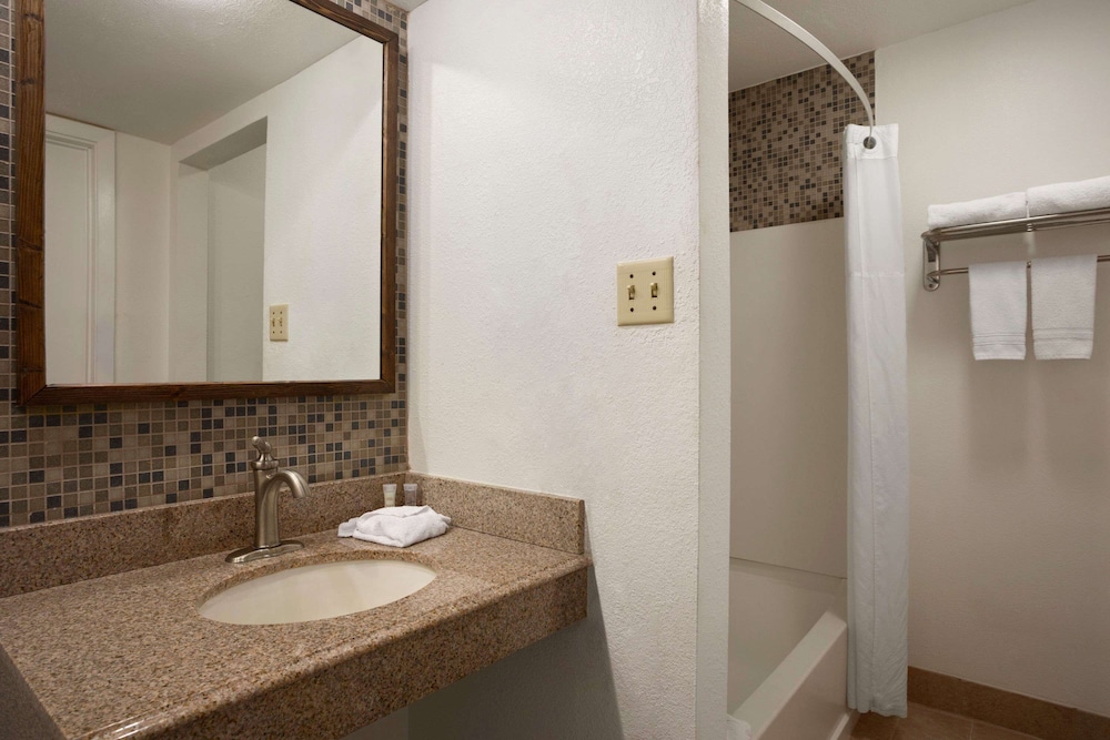 Suite - Photo 3