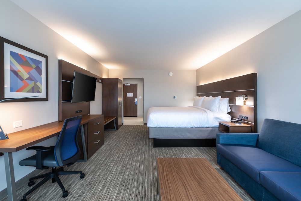 Suite, 1 King Bed photo 1