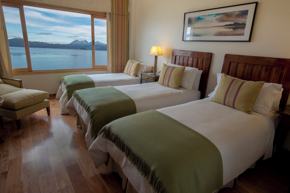 Premium Vista Canal Beagle photo 3