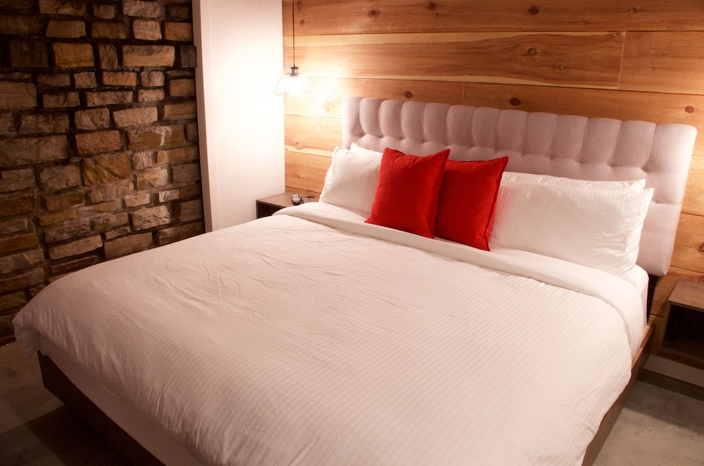 Deluxe Studio Suite, Multiple Beds photo 3