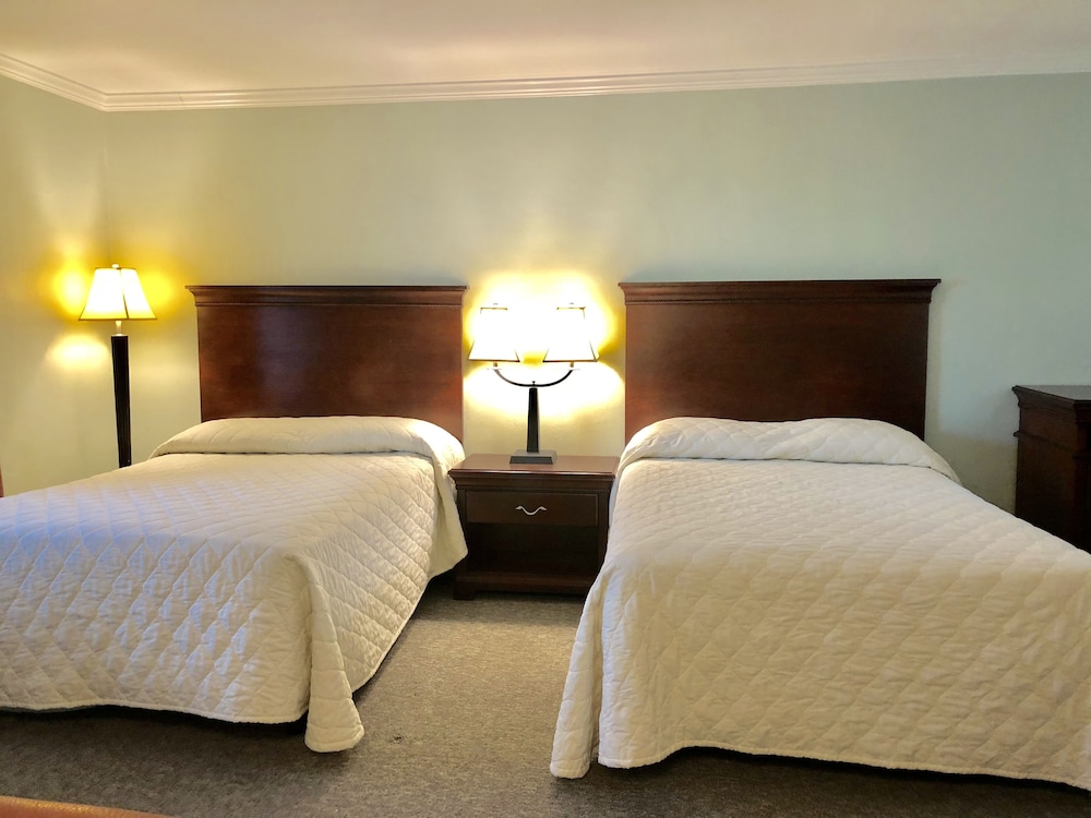 Basic Room, 2 Double Beds, Refrigerator & Microwave - Photo 5