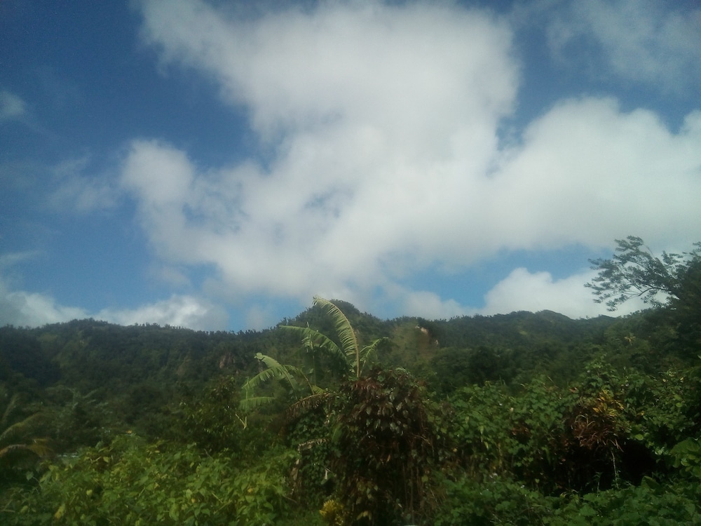 Basic Cabin, 1 Double Bed (Breadfruit) photo 2