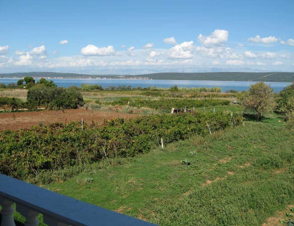 Apartment (Miljenko - 100 m from the beach - A1() photo 1