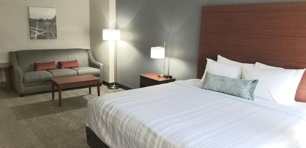Standard Room, 1 King Bed with Sofa bed, Non Smoking, Refrigerator & Microwave (with Sofabed) - Photo 1