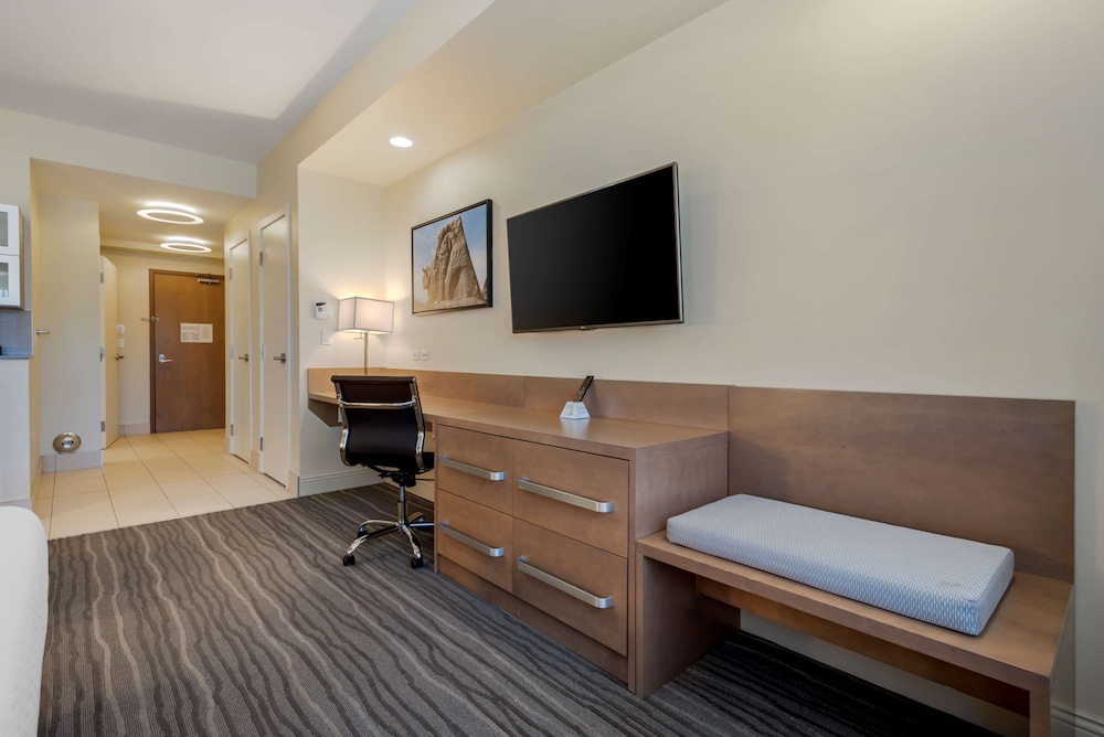 Standard Room, 1 King Bed, Accessible, Refrigerator & Microwave photo 3