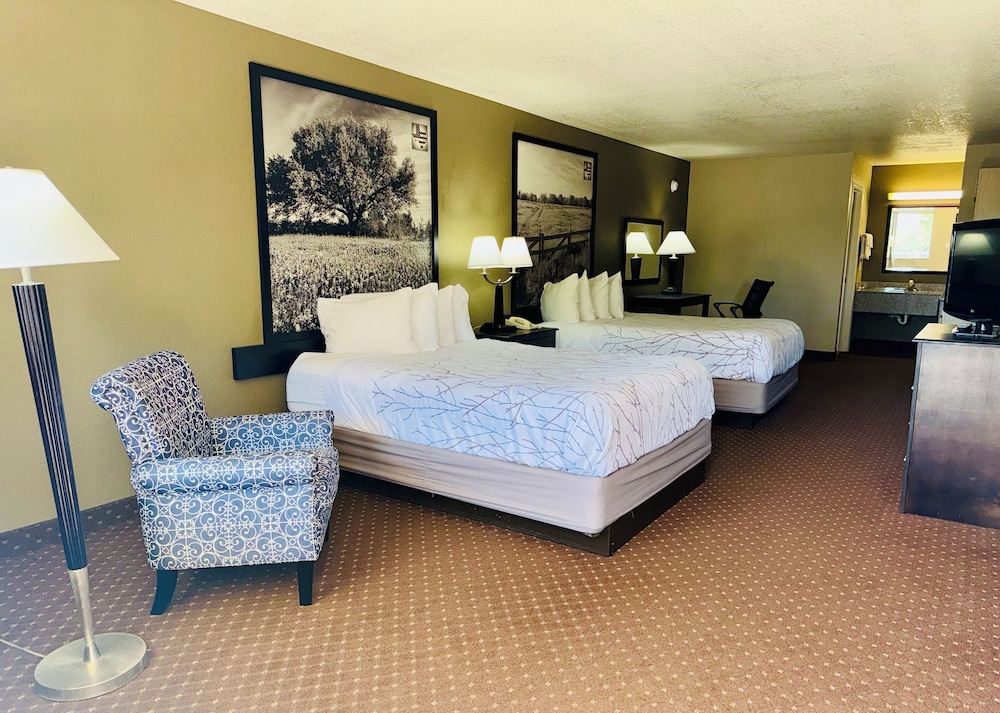 Deluxe Studio Suite, 2 Queen Beds, Non Smoking