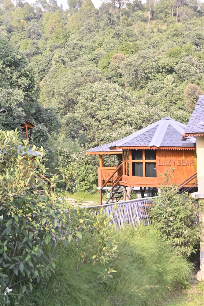 Basic Cabin